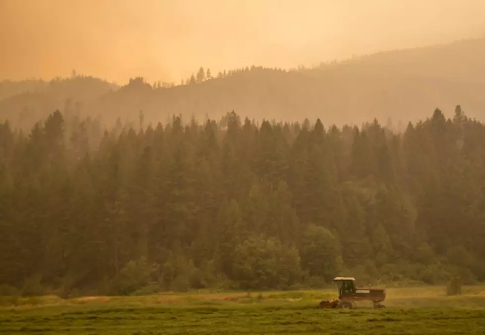 Sheep Mountain Fire Jumps South Fork of the Sun River — Causes Pre-Evacuation Notices for Residences, Recreational Cabins
