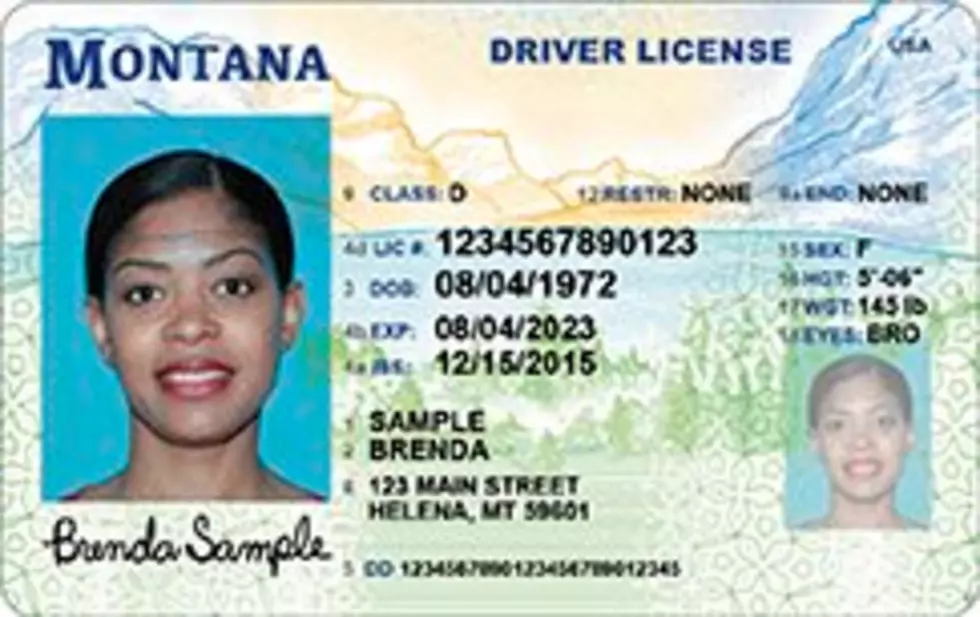 Montana Driver&#8217;s Licenses Updated, Grizzly Removed