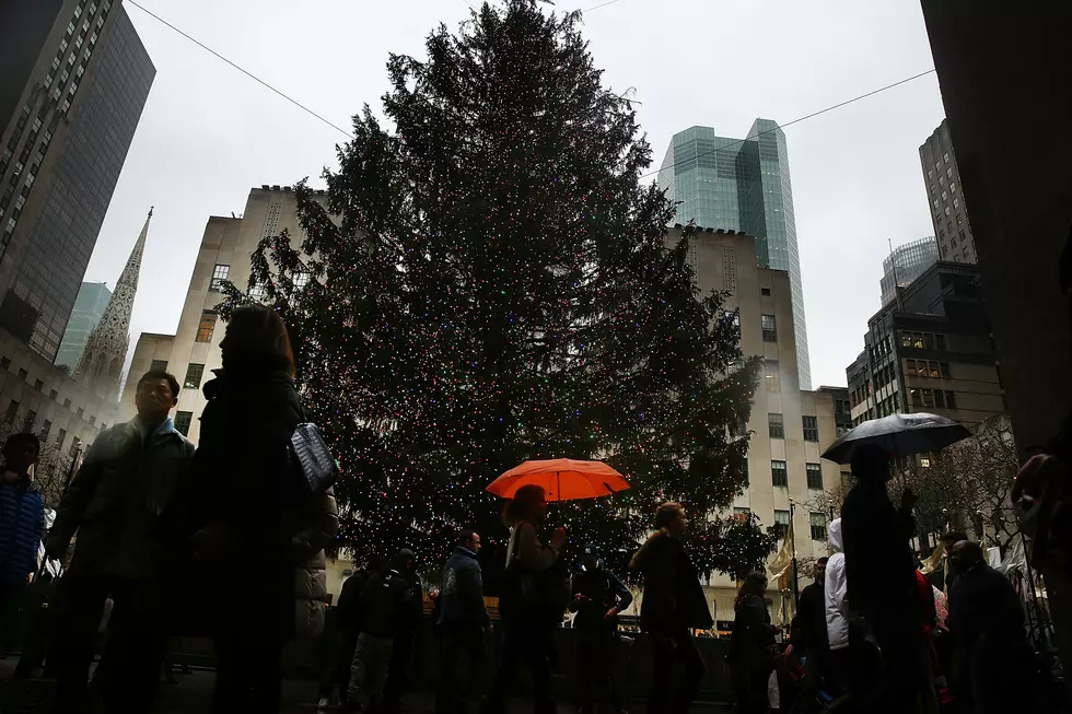 After Holiday, Rockefeller Tree Used by Habitat for Humanity