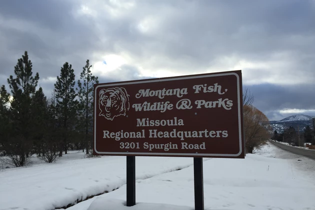 FWP to Ask Legislature for Cash for New Hunting License and Camp Reservation System