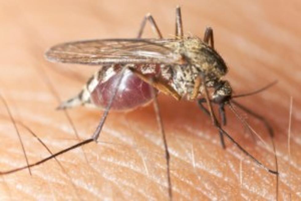 BREAKING – Zika in Missoula