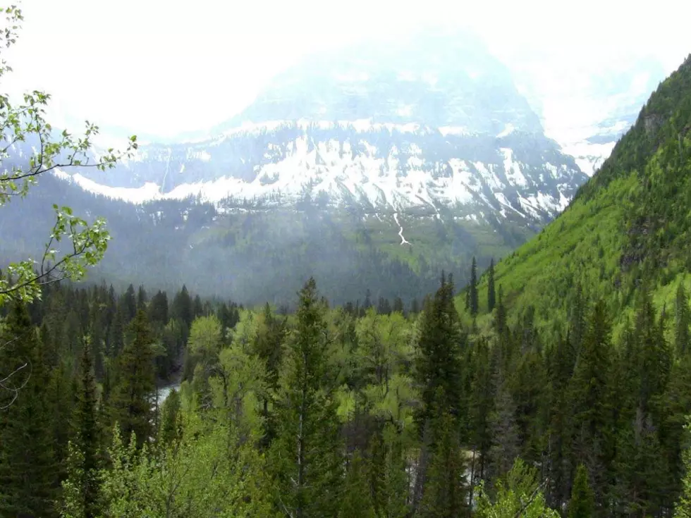 Free Entrance into Montana&#8217;s National Parks This Week