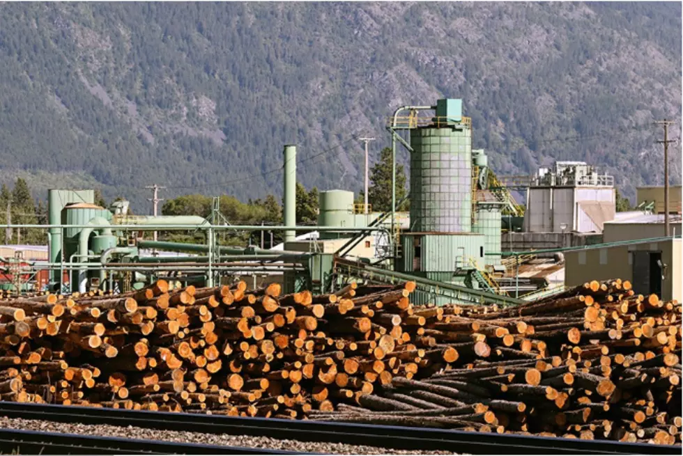 Governor Should ‘Do More’ to Protect Timber Jobs, Says Greg Gianforte