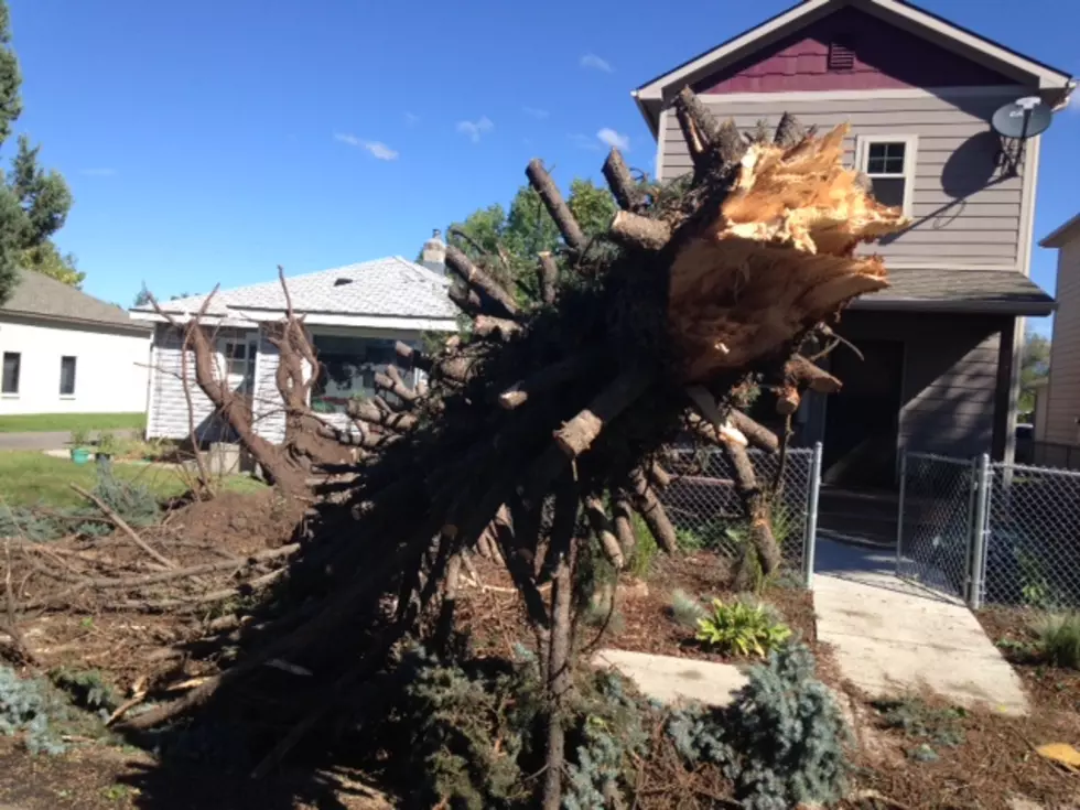 Thursday’s Wind Storm Scores a Near Miss On A Missoula Home