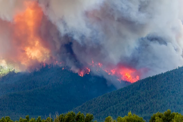 &#8216;Homes Did Burn&#8217; as Roaring Lion Fire Expands to Largest Montana Fire this Year