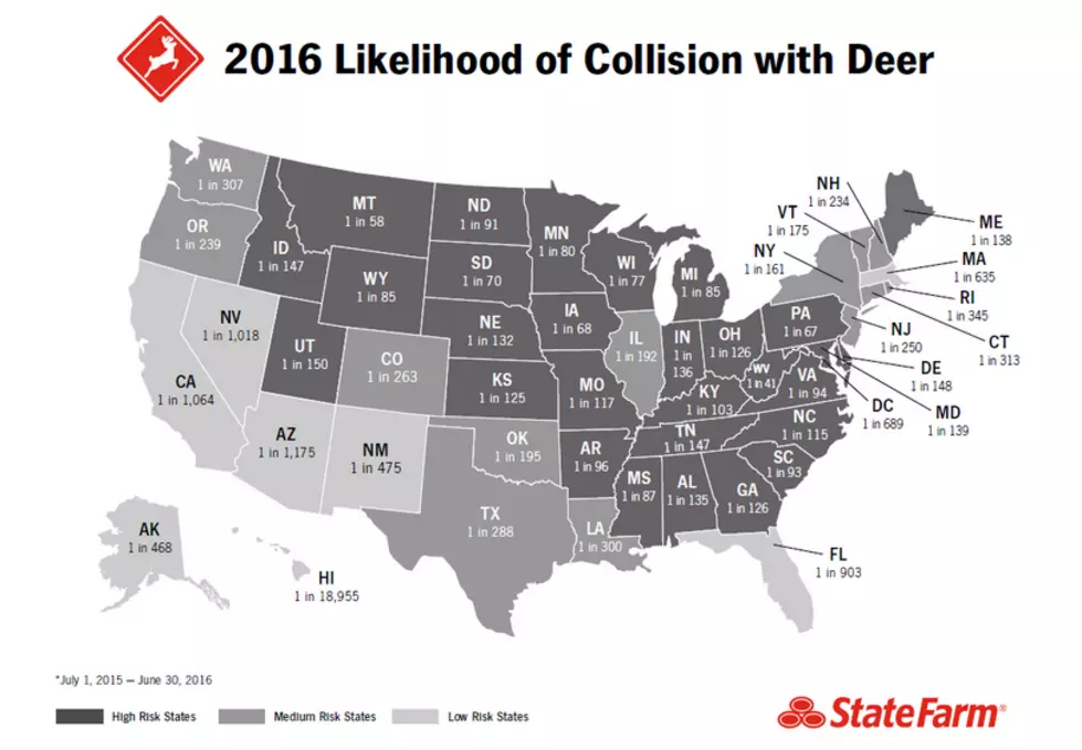 Montanans Are More Likely to Hit Deer Than Drivers in All But One State