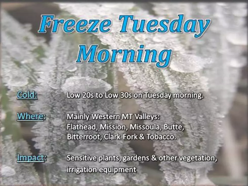 Freezing Temperatures Forecast For Monday Night – Hard Freeze Expected