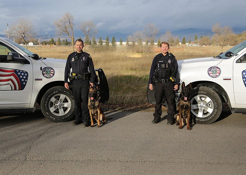 Missoula Police Department Adds Two New Furry Officers To The Force