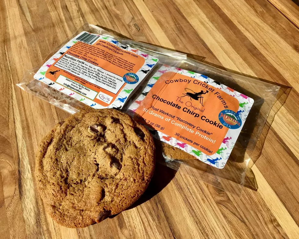 Crickets in Cookies? Montana Entrepreneurs Bring New Ideas to the Table in Missoula Competition