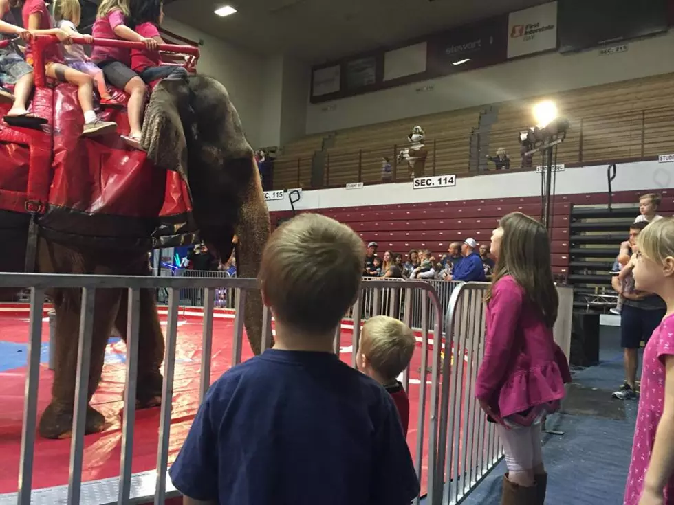 Missoula Child Hospital Fundraiser Loses $18,000 After Circus Animals Removed From Act