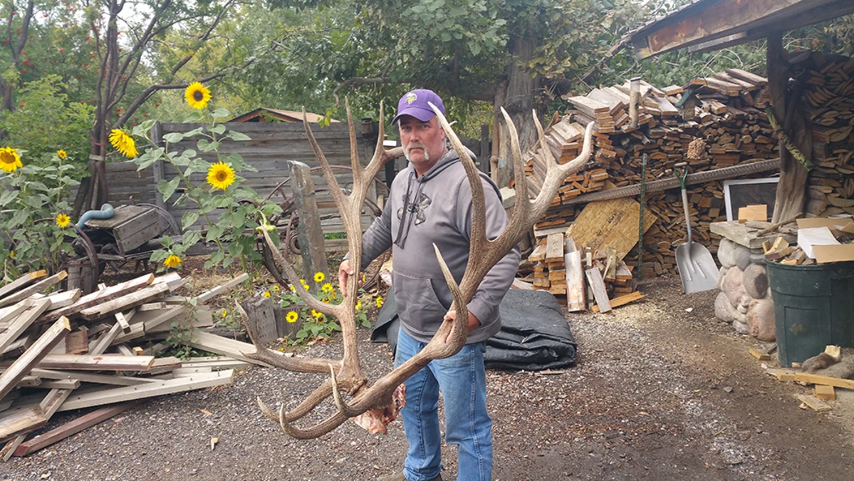 the largest elk ever taken in Montana on May 8th. rocky mountain elk founda...