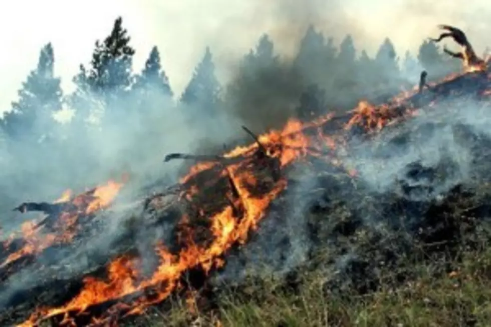 Firefighter From Missoula Killed While Fighting Fire In Seeley Ranger District