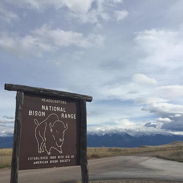Settlement Forces National Bison Range to Forge Conservation Plan by 2023