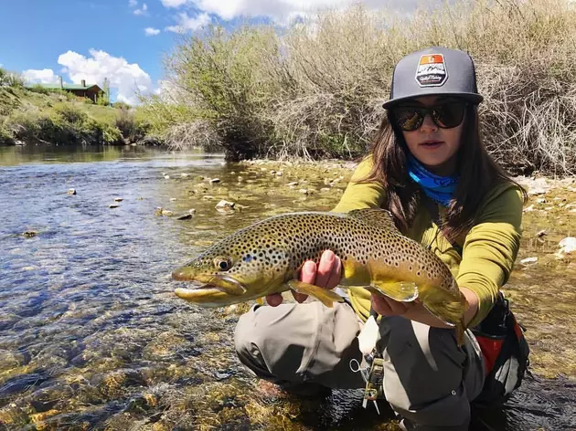 Montana FWP Issues Kill Order for Brown Trout on Stretch of Kootenai River