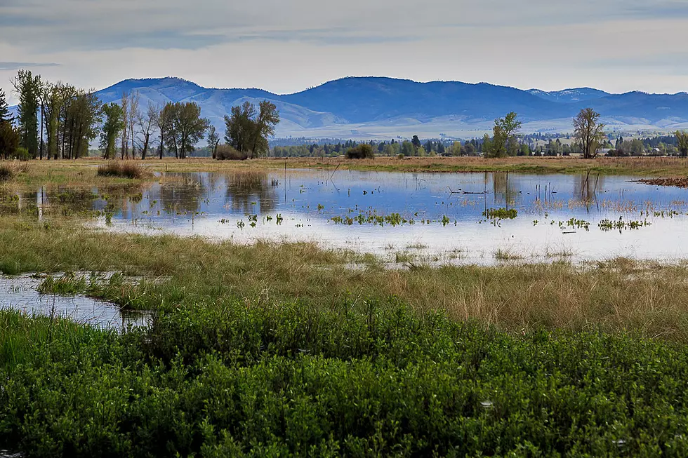 Encouraging News on Missoula area Flooding