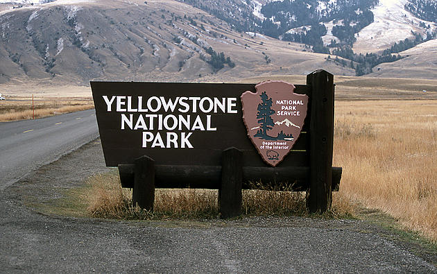 Yellowstone to Close Gates on Monday to Prep for Winter