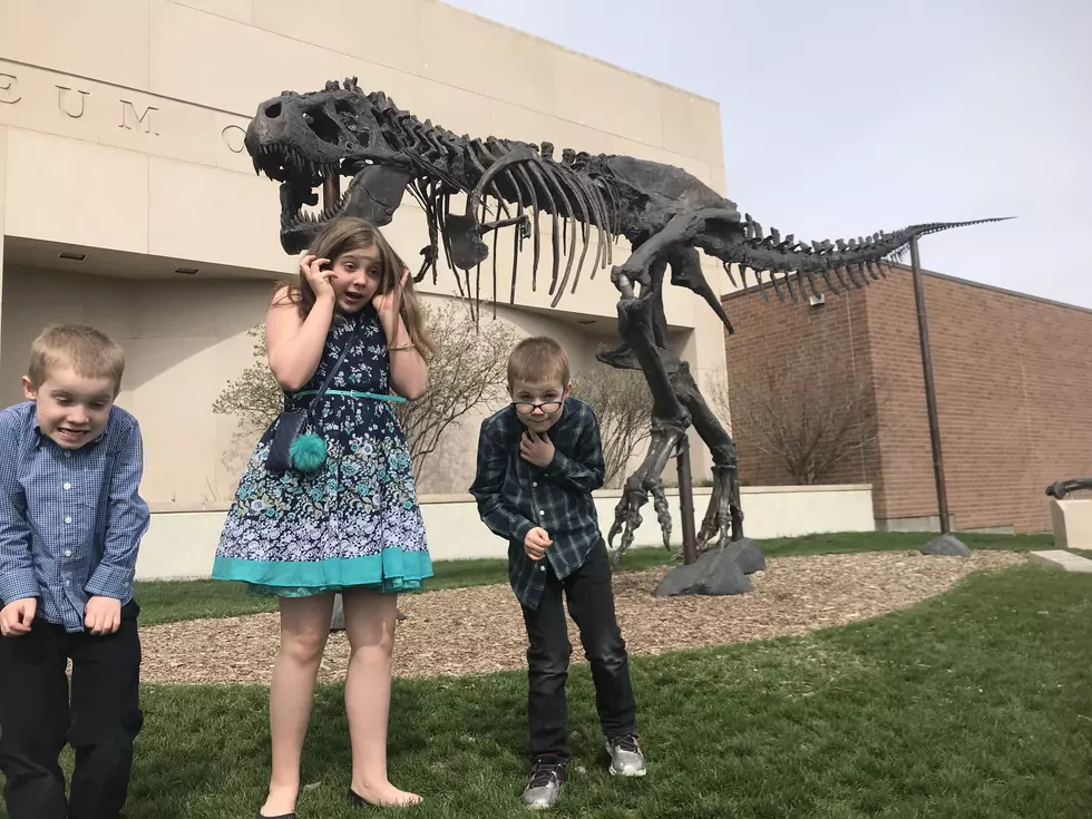 New Dino Found in Montana, See it on the 'Dinosaur Trail'