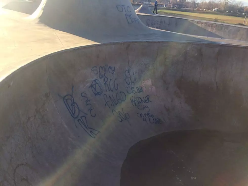 Missoula Police Looking for Help Identifying Skate Park Vandals
