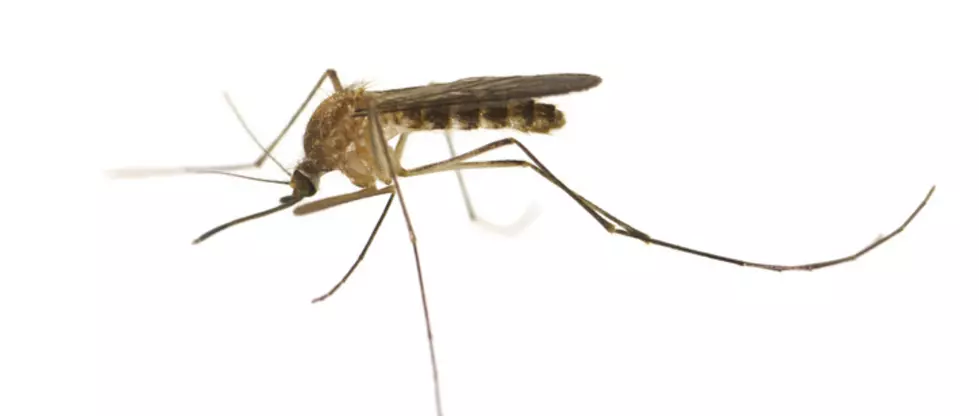 First Human Cases of West Nile Virus Reported in Montana