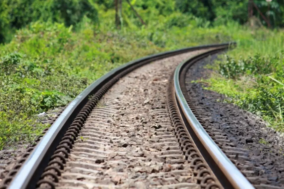 County Commissioner Plans Study on Passenger Rail Service