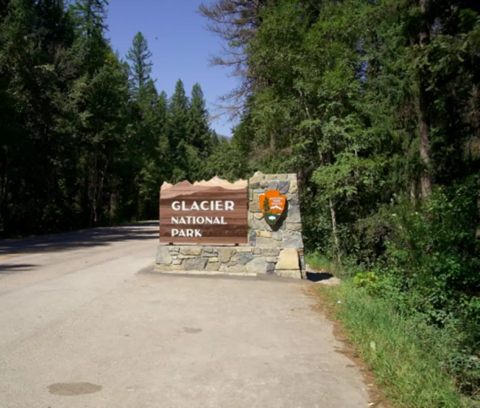 Visiting Glacier Park? Prepare for Heavy Traffic and Long Waits
