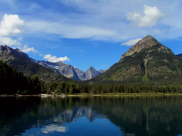 Kalispell Woman Collides with Grizzly Bear in Glacier Park