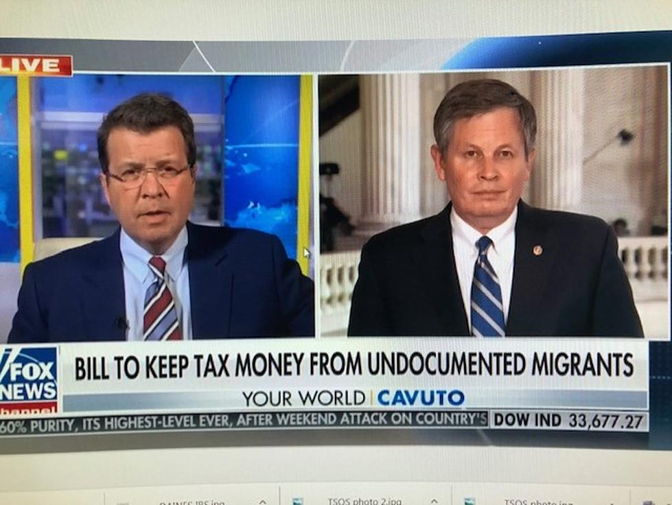 Daines on Fox News – ‘We Caught New York Red Handed’