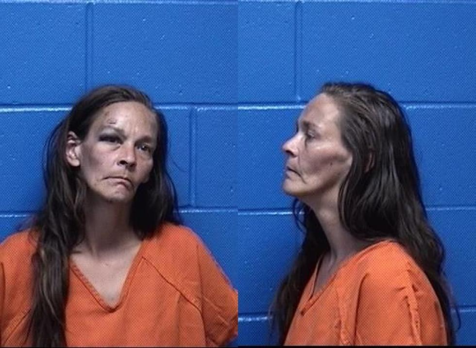 Missoula Woman Stole Another Woman's $34,000 Wheelchair 
