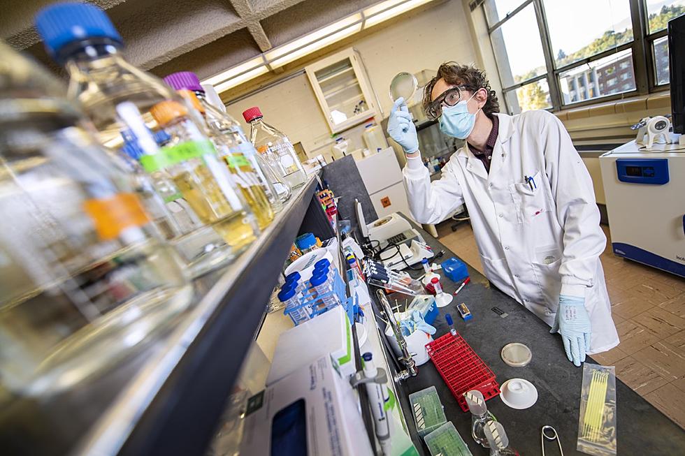 University of Montana Shatters Research Funding Record