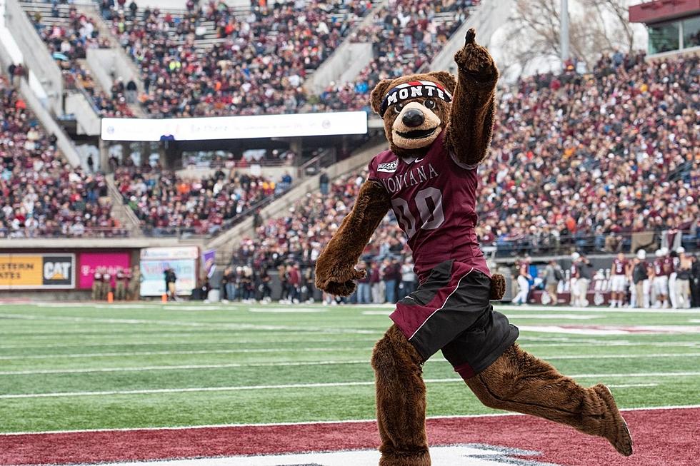 Montana Grizzlies Hope to Sting the Hornets at Home on Saturday