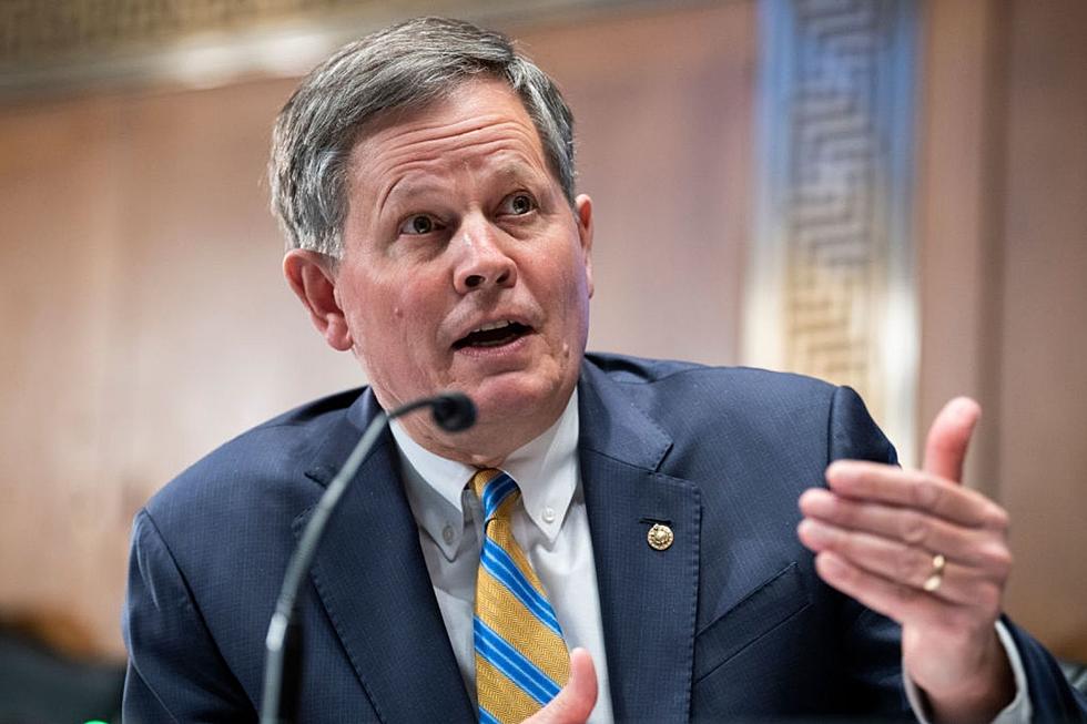 Daines Slams Reversal of Title 42 Increasing Illegal Immigration