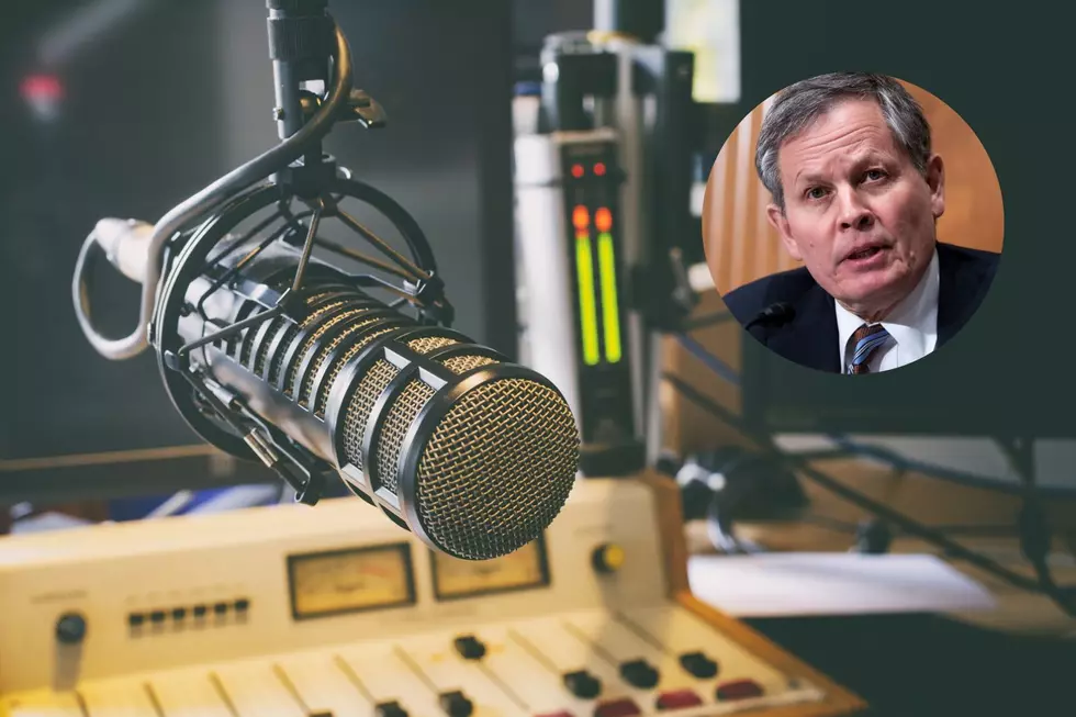 Daines Slams Biden for Pulling Air Marshals to Southern Border