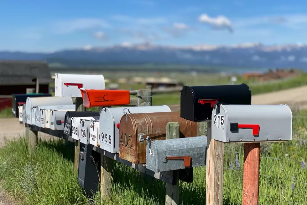 Primary Election Ballots Have Been Mailed in Missoula