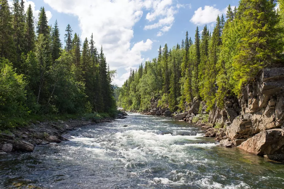 Step by Step Tips on How to Save Someone Who Falls Into the River