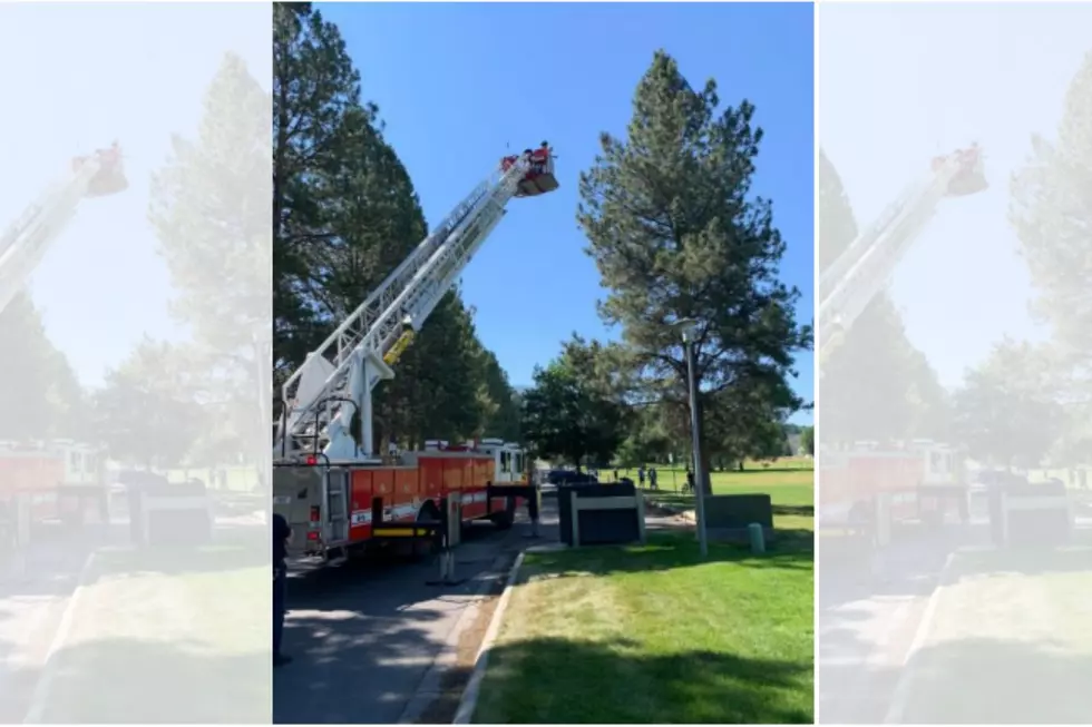 Missoula Fire Department Rescues Parachutist From 100-Foot Tree