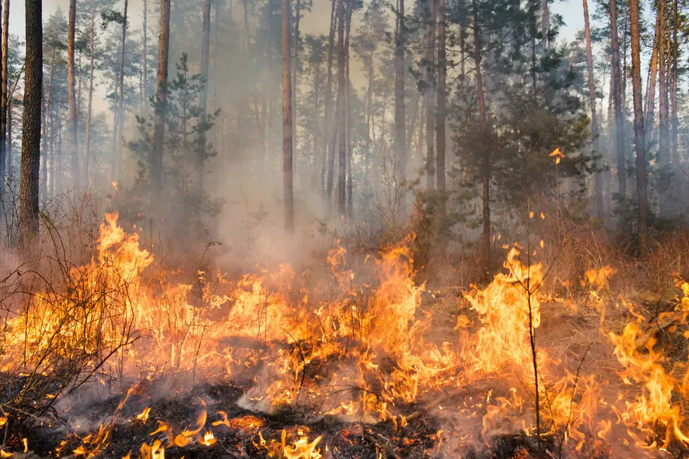 Missoula Air Quality Specialist Warns of Wildfire Smoke