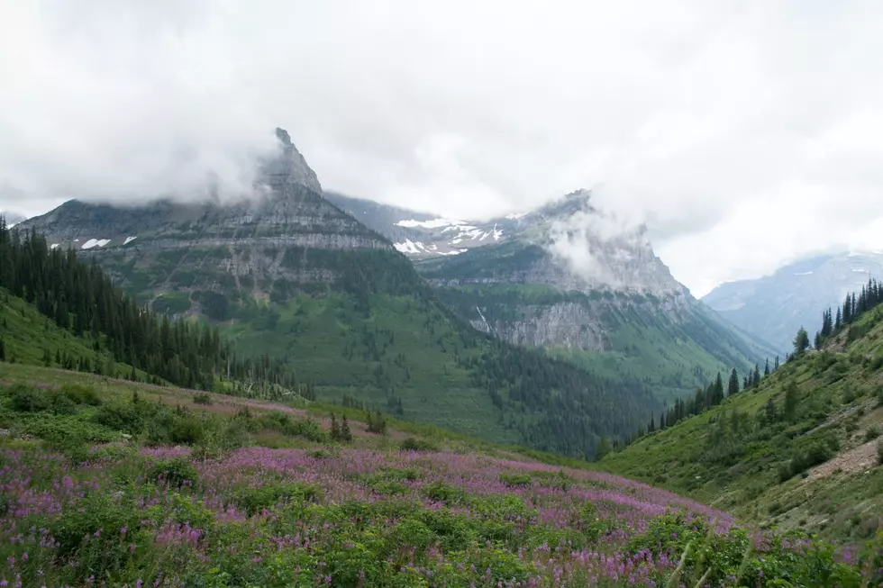 Bodies of Two Montana Men Found on a Mountain in Glacier Park