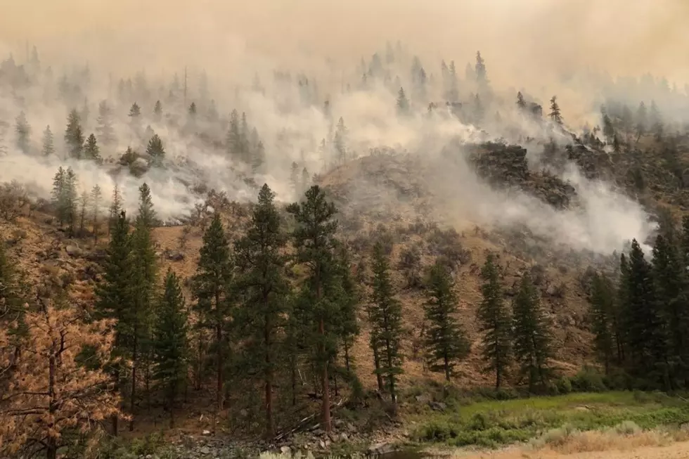 Fire Crews Across the Northwest Continue to Battle the Moose Fire