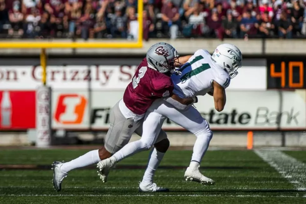 Griz Hope to Swat the Hornets in a Crucial Big Sky Battle