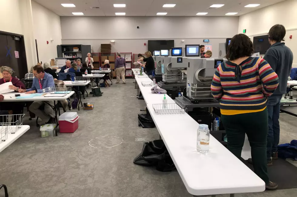 Missoula County Election Results Delayed Due to &#8216;Human Error&#8217;