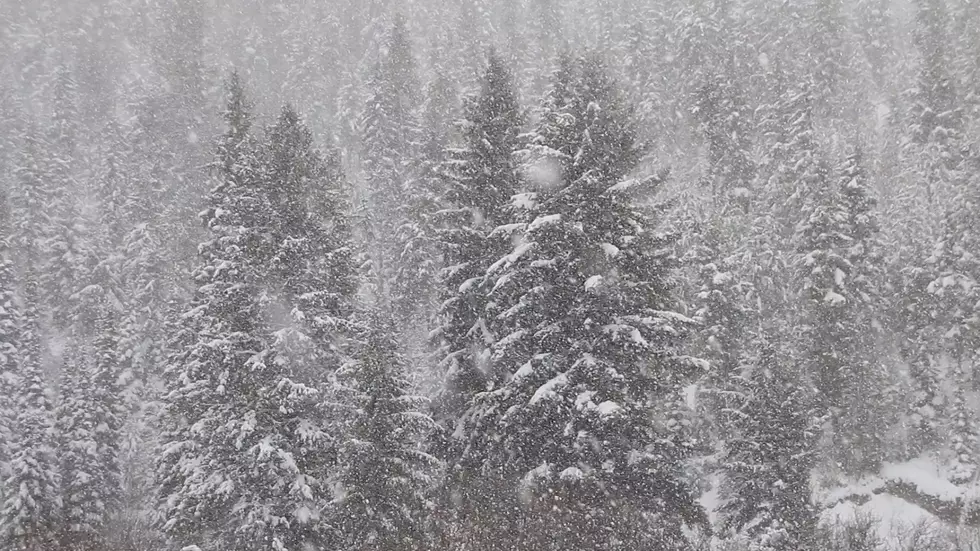 Montana Christmas Could be Ruined by Snow & Bitter Cold