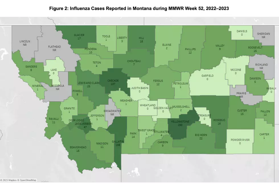 Thousands of Early Flu Cases and Hospitalizations Reported in Montana