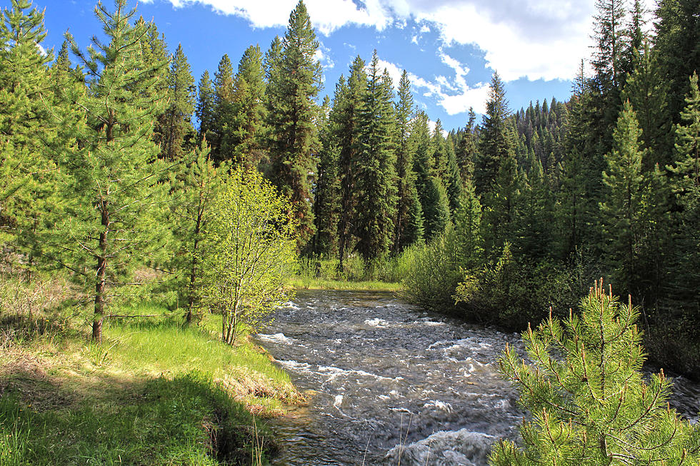 Bitterroot National Forest Wants Info on "Rare Earth" Mine