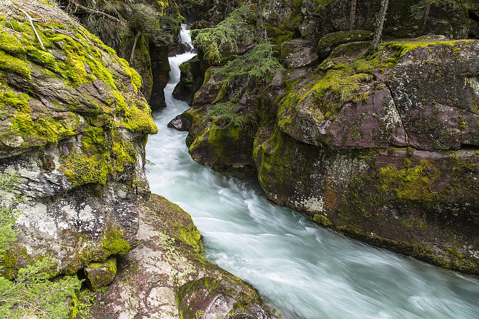 Woman Falls, and Drowns, in Glacier National Park