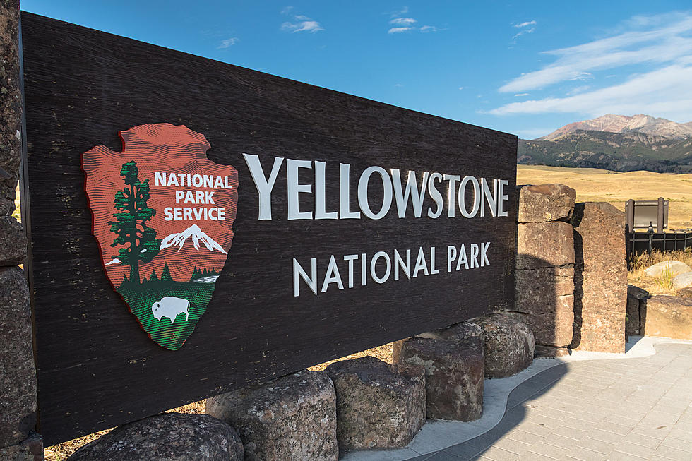 Improvements Are Coming To Yellowstone National Park