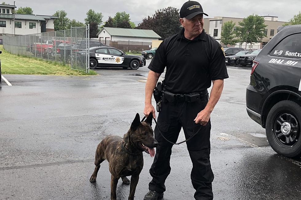 Missoula Sheriff’s Office K9 in Competition for $15,000 in Grants