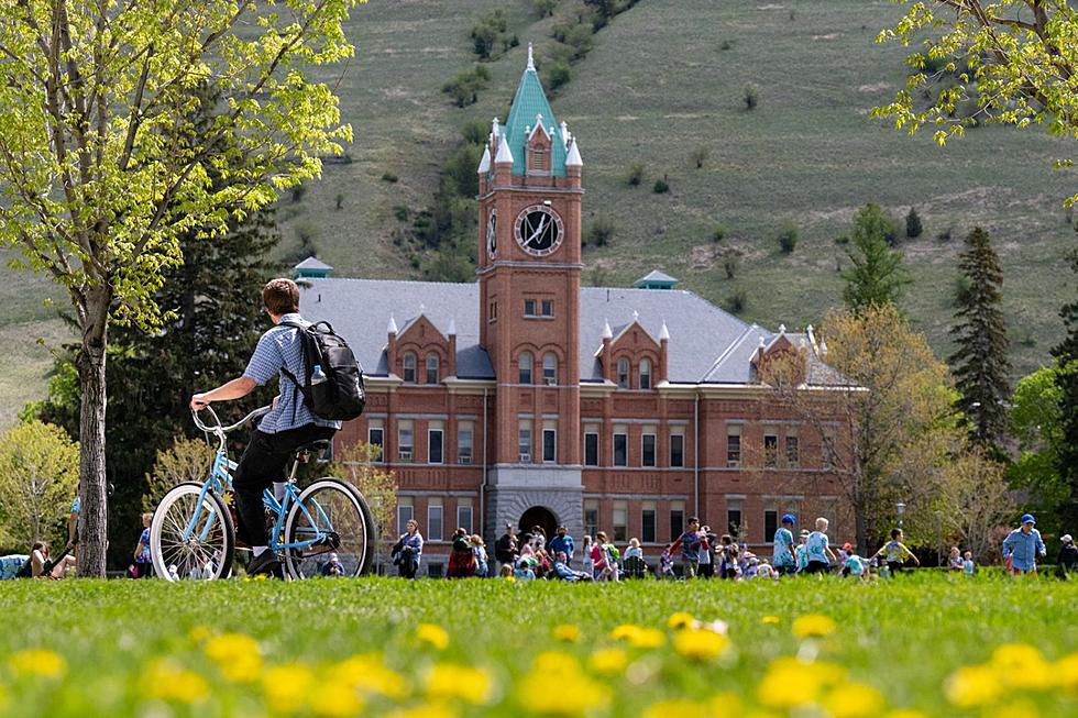 Bugs, Books, and Buildings; Summer Happenings on the UM Campus