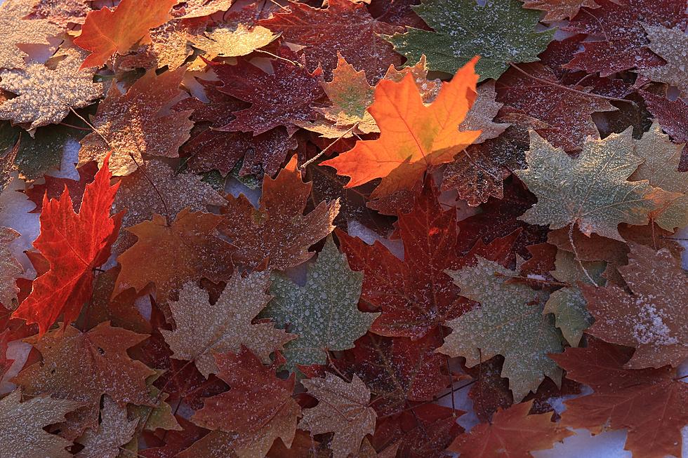 Montana’s First Frost is Here, and Freezing Not Far Behind