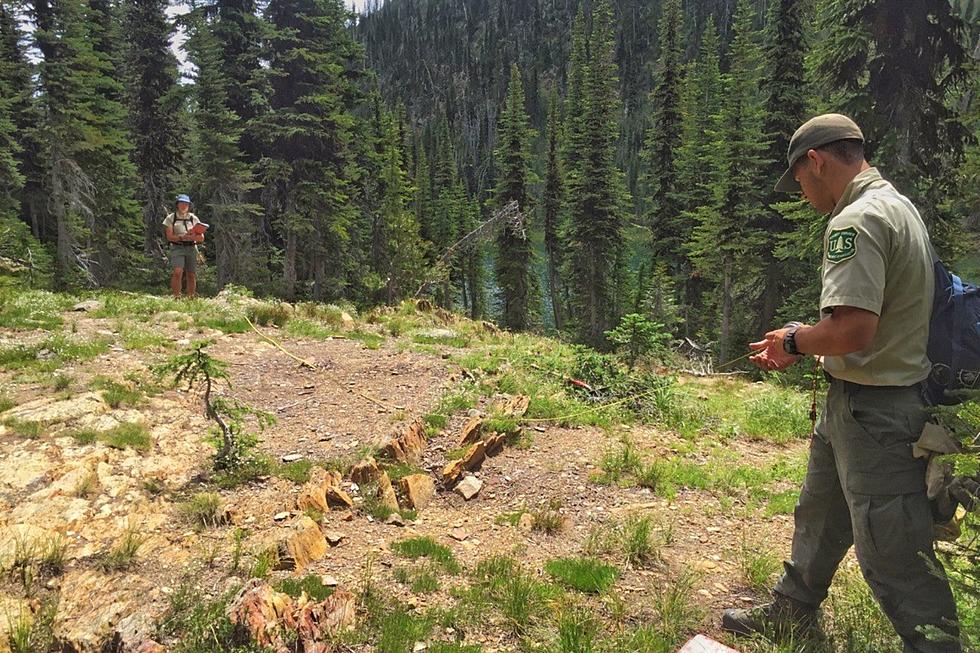 U.S. Forest Service Offers $30k and Benefits for Seasonal Work