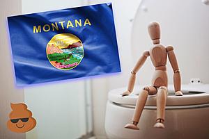 Montanans, You Need to Poop More According to Study